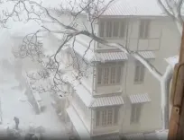 क्या शिमला और मनाली में मौसम की पहली बर्फबारी ने पर्यटकों को आकर्षित किया?