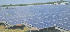 तमिलनाडु 1 अक्टूबर को नवीकरणीय ऊर्जा पोर्टल लॉन्च करेगा, 1,500 MW सोलर क्षमता का लक्ष्य