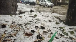 बिहार में मौसम की करवट: 16 जिलों में जारी हुआ रेड अलर्ट