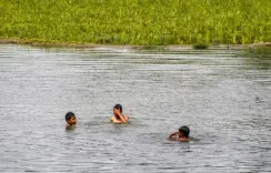 दमोह के तवारी गांव में दो नाबालिग लड़कियां पानी भरे गड्ढे में मृत मिलीं, पुलिस जांच में जुटी