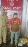 वैष्णो देवी ट्रैक पर दो अवैध टट्टू संचालक पकड़े, कटरा थाने में दो FIR दर्ज
