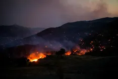 नीदरलैंड के लिम्बर्ग में जंगल की आग काबू में, 100 हेक्टेयर प्रभावित; 300 दमकलकर्मी तैनात
