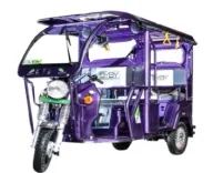 BAT-BMS app ban: How Chinese apps remotely kill e-rickshaws in India