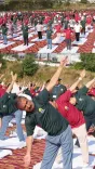 HP CM Office Marks Yoga Day, Invokes Nehru's Vision