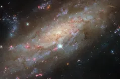 हबल टेलीस्कोप ने NGC 3137 सर्पिल आकाशगंगा की तस्वीर ली, 5.3 करोड़ प्रकाश वर्ष दूर से दिखा अद्भुत नज़ारा