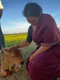 Did Nithya Menen Really Collect Her National Award with Cow Dung in Her Fingernails?