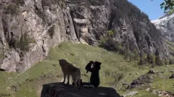 क्या आईएफएफआई में 'ओस्लो: ए टेल ऑफ प्रॉमिस' का टीजर देखकर लोग भावुक हुए?