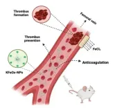 IIT-BHU bioengineers develop nanoparticles to stop blood clotting