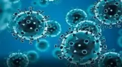 IIT Madras study shows viruses follow seasonal and yearly cycles