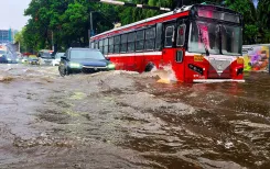 IMD issues rain alerts for 31 Maharashtra districts; Mumbai logs 113 tree falls