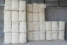 How has the exemption of import duty on cotton benefited the textiles industry?