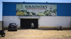 Shahdol's Shubham Tiwari builds millet brand Granoxy with PMFME aid