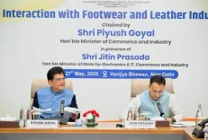 India can become a globally trusted footwear, leather manufacturing hub: Piyush Goyal