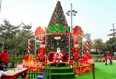 How Is Christmas Celebrated Across India with Devotion and Joy?