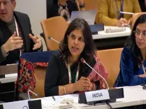 Ayushman Bharat, e-Sanjeevani driving India's universal health push: Health Secretary at UNGA