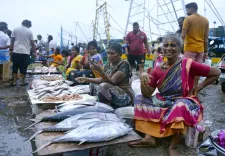 India eyes 30 million tonne fish output in 5 years, seafood exports target ₹1.25 lakh crore