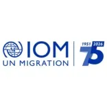 India tops global remittances at $137.7 billion in 2024: IOM Report