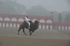 Will the Indian Army demonstrate its unique animal force at the Republic Day parade?