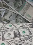 India's BoP surplus hits $20.8 bn in July on services boom, FDI surge