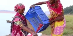 Is India's Coffee, Brewed in India, Loved by the World? PM Modi in 'Mann Ki Baat'