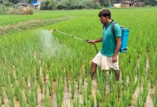 Per Drop More Crop: 115 lakh hectares under micro-irrigation, 12.30 lakh farmers benefit