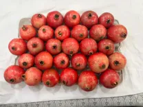 Sinduri pomegranate from Kullu reaches Dubai in India's agri export push