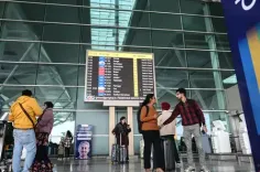 Did the IndiGo Crisis Force Singapore's High Commissioner to Miss a Wedding?