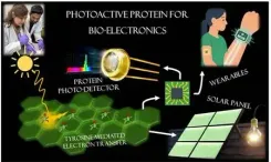 INST scientists find natural protein that can reshape future of electronic materials