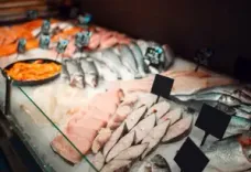 IPO-bound seafood marketplace Captain Fresh posts Rs 229 crore loss in FY24