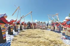 क्या इस वर्ष शीत्सांग में अनाज का रिकॉर्ड उत्पादन हुआ?