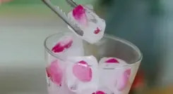 जब पहली बार मशीन से बर्फ जमाने का हुआ था प्रदर्शन 