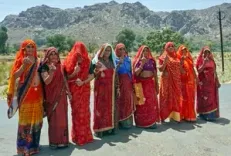 Jaipur civic polls 2026: 82.8% of 2020 winners dropped; BJP cuts 115, Congress 72