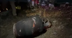 क्या जयपुर में हुए भीषण हादसे पर मुख्यमंत्री भजन लाल शर्मा ने दुख व्यक्त किया?