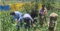 जमुई जंगल से SSB को मिली बड़ी सफलता: राइफल, खोखे और सुतली बम बरामद