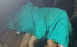 झारखंड के जंगल में नक्सलियों के बारूदी विस्फोट ने ली गजराज की जान