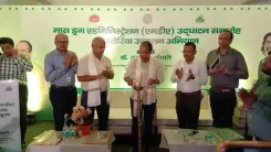 झारखंड को 2027 तक फाइलेरिया मुक्त बनाने का लक्ष्य, राज्यभर में 'मास ड्रग अभियान' शुरू