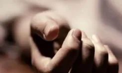 क्या झारखंड में जंगली हाथी का आतंक बढ़ रहा है? एक रात में छह लोगों की मौत