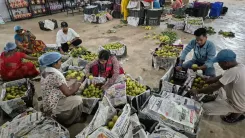नेतरहाट की नाशपाती अब रिलायंस समेत बड़े बाज़ारों में, झारखंड की महिला किसानों को मिल रहा उचित दाम
