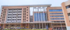 पूर्वी सिंहभूम में ब्रेन मलेरिया का कहर: पाँच दिनों में चार बच्चों की मौत, झारखंड में अलर्ट