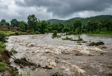 सारंडा में कुइली नदी का जलस्तर बढ़ने से तीन ग्रामीण बहे, दो शव बरामद; एक महिला लापता