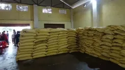 चुराचांदपुर में किसानों को यूरिया और बायो-फर्टिलाइजर वितरण, संतुलित उपयोग पर जोर