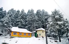 What is the coldest night of the season in Srinagar?