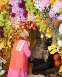 Did J&K LG Manoj Sinha Offer Prayers at Mata Vaishno Devi Shrine?