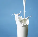 J&K milk unit in Bijbehara loses licence over hygiene violations