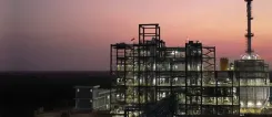 Did Jubilant Ingrevia's Q2 Net Profit Experience a 7.5% Decline?