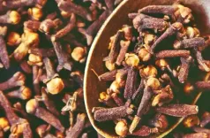 ज्योतिष टिप्स: घर से निकलते समय मुंह में रखें लौंग, बिना बाधा के पूरा होगा काम