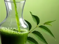 कड़वे नीम के मीठे गुण : पत्तों के रस के सेवन के फायदे और सावधानियां