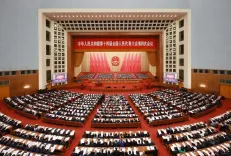 कागज पर सुझाव को ठोस नीति में बदलने की प्रक्रिया