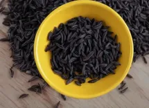 क्या काली जीरी पेट के कीड़ों और गैस की छुट्टी का सबसे प्रभावी घरेलू उपाय है?