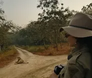 क्या कंगना रनौत ने गिर नेशनल पार्क की तस्वीरें शेयर कीं?